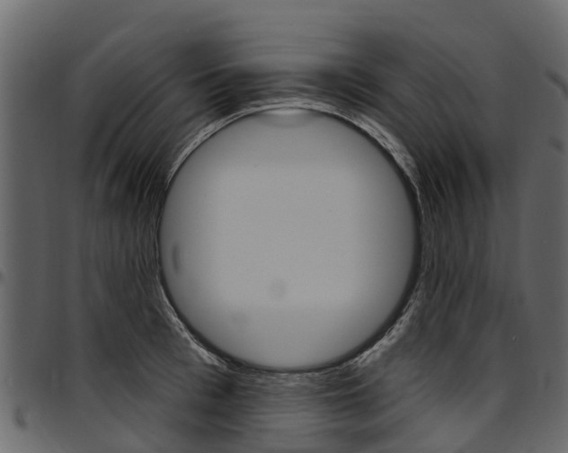 X0000097610993200802290752