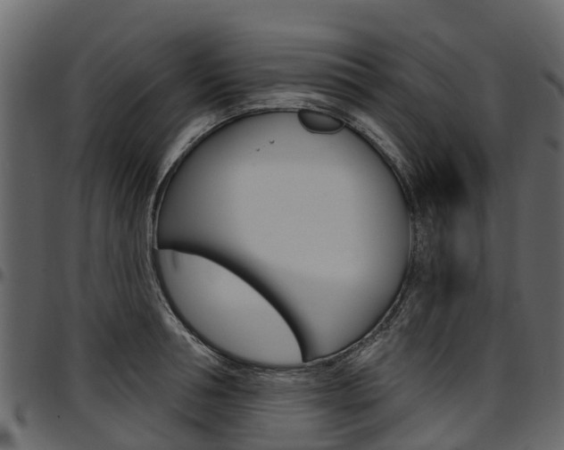 X0000097610994200802290752