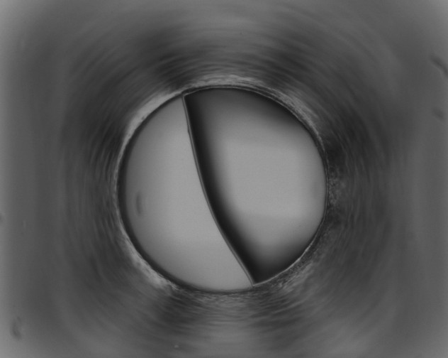 X0000097610995200802290752