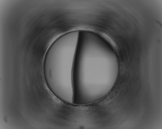 X0000097610996200802290751