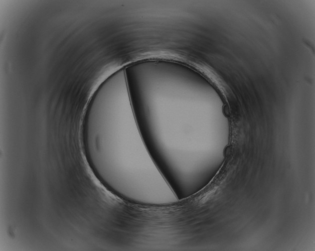 X0000097610999200802290751