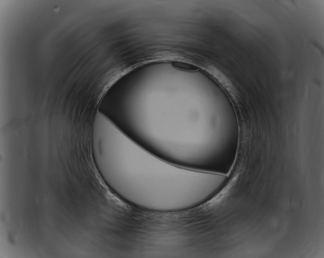 X0000097611001200802290751