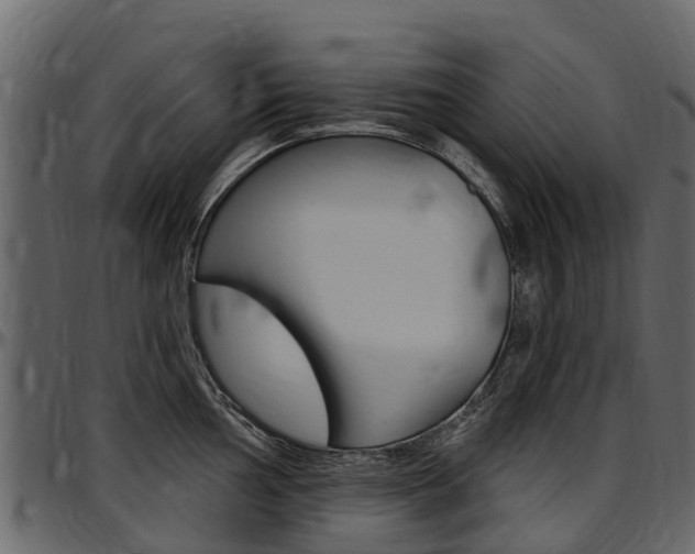 X0000097611002200802290751