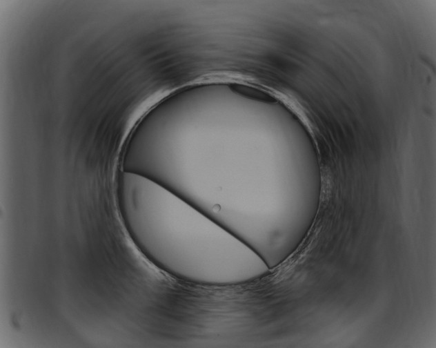 X0000097611003200802290751