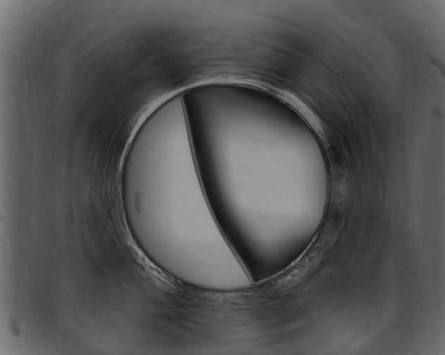 X0000097611004200802290751