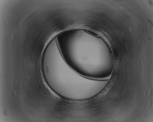 X0000097611005200802290751