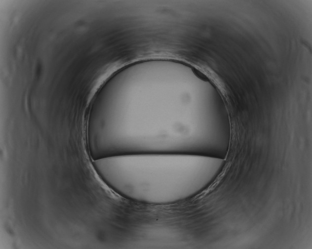 X0000097611006200802290751