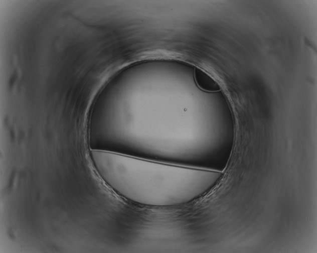 X0000097611008200802290751