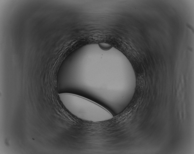 X0000097611009200802290751