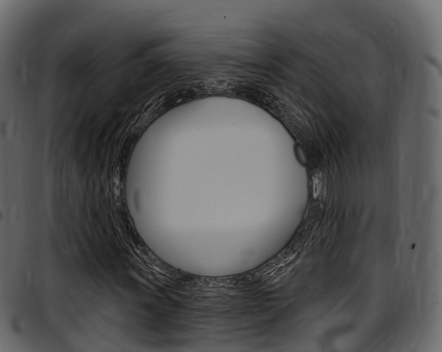 X0000097611011200802290751