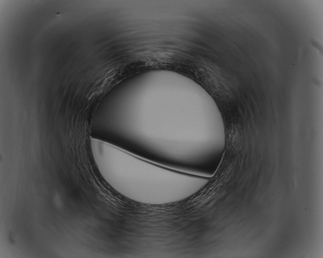 X0000097611012200802290751