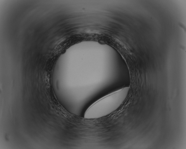 X0000097611013200802290751
