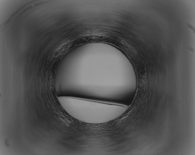 X0000097611014200802290751
