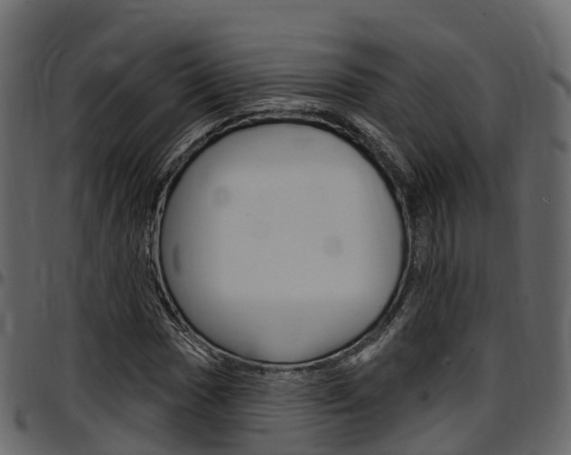 X0000097611017200802290751
