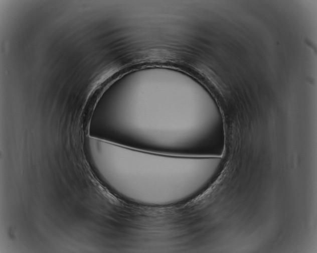 X0000097611018200802290751