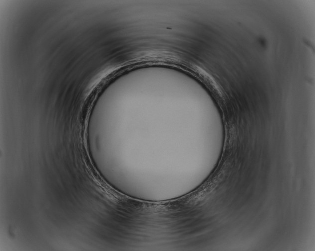 X0000097611019200802290751