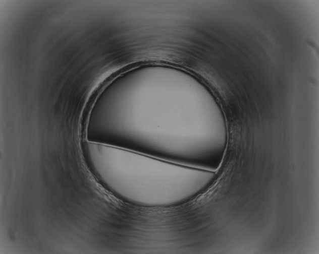 X0000097611020200802290751