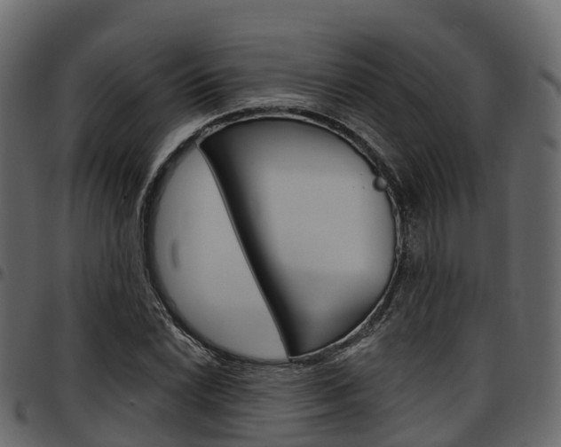 X0000097611022200802290751