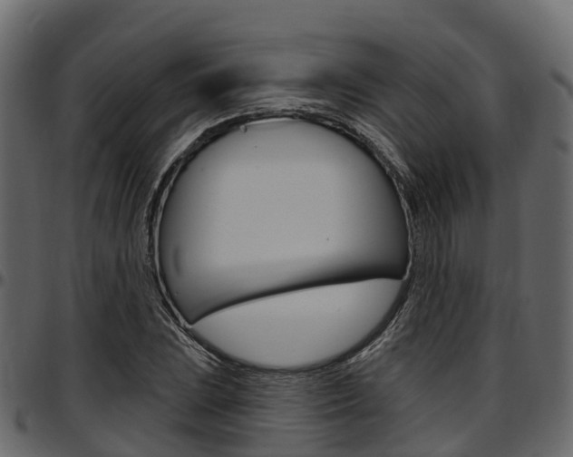 X0000097611023200802290751