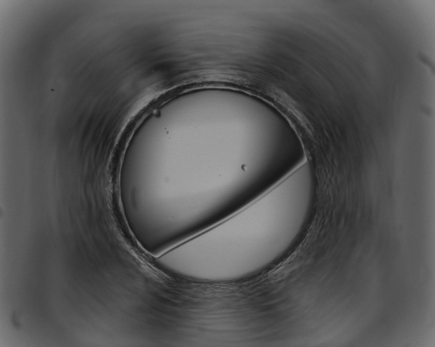 X0000097611024200802290751