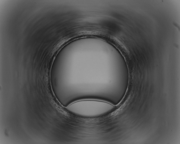 X0000097611025200802290751