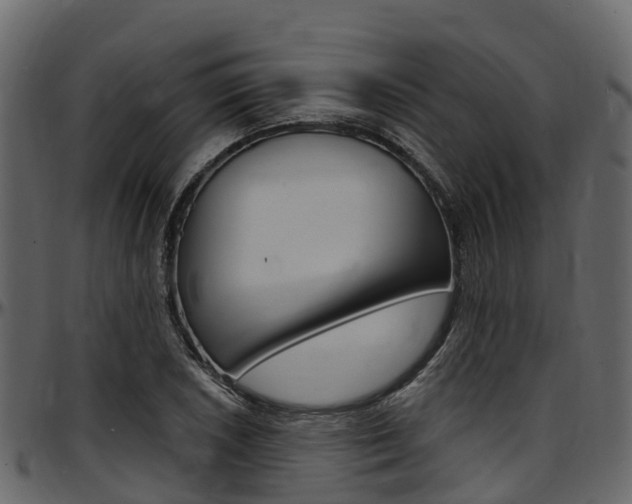 X0000097611026200802290751