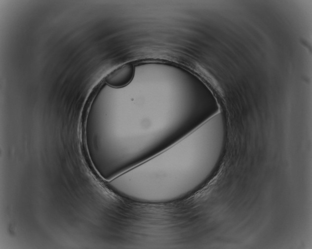X0000097611028200802290751