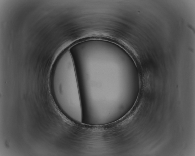 X0000097611029200802290751