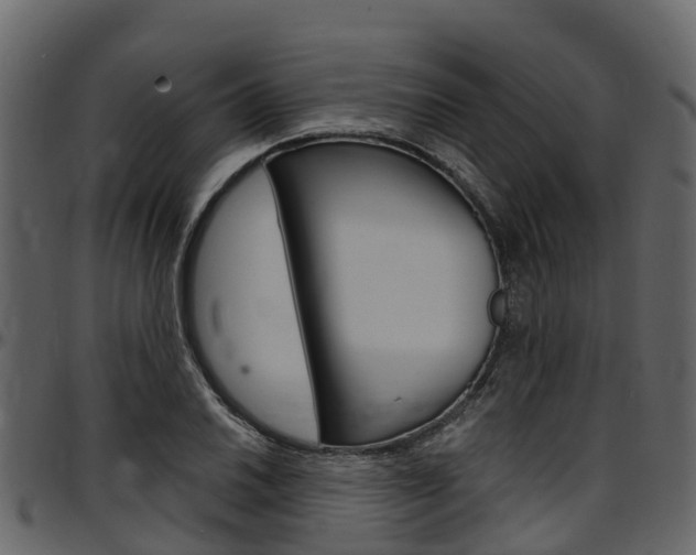 X0000097611030200802290751