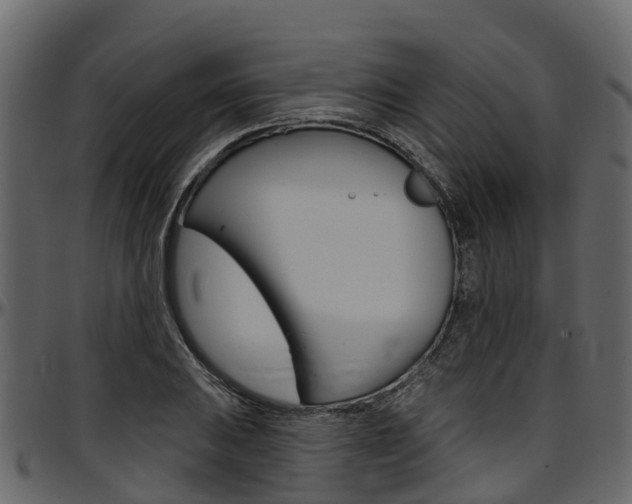 X0000097611031200802290751