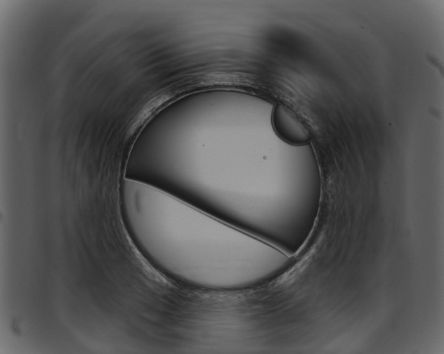 X0000097611033200802290751