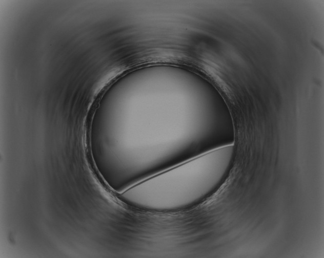X0000097611034200802290751