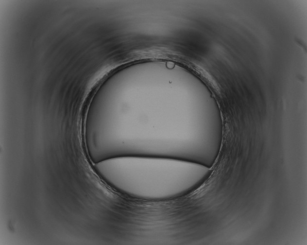X0000097611035200802290751