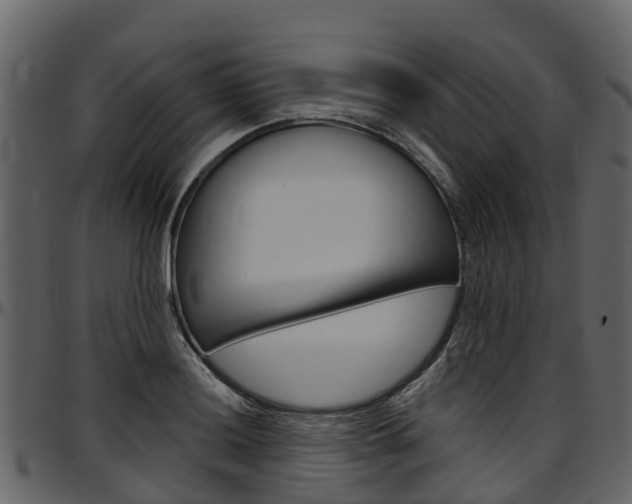 X0000097611036200802290751