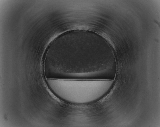 X0000097611037200802290751