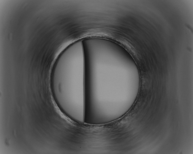 X0000097611038200802290751