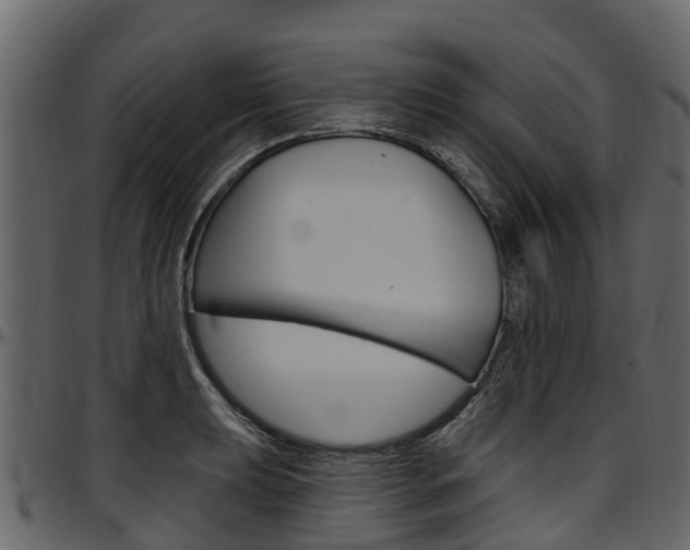 X0000097611039200802290751