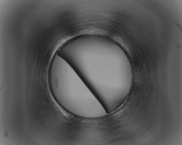 X0000097611040200802290751