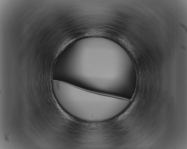 X0000097611041200802290751