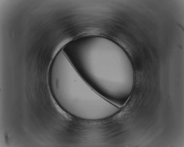 X0000097611042200802290751