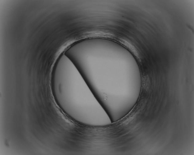 X0000097611043200802290751