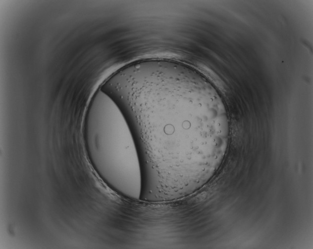 X0000097611044200802290751