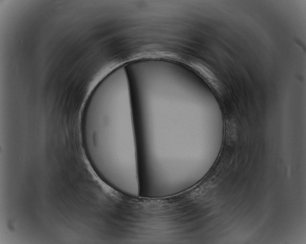 X0000097611046200802290751