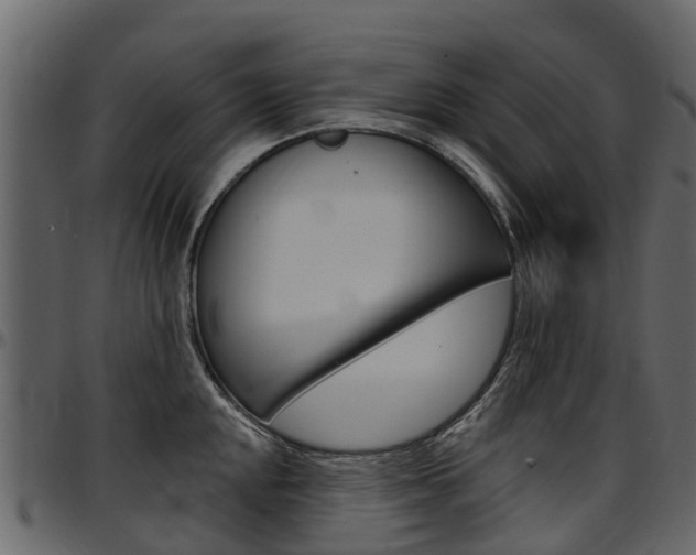 X0000097611048200802290751