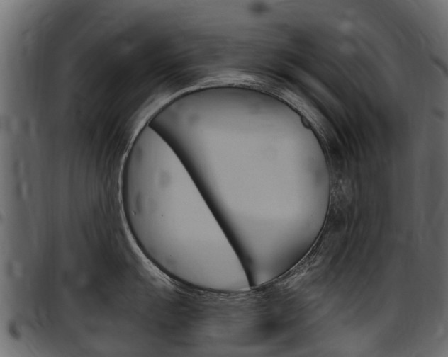 X0000097611055200802290751