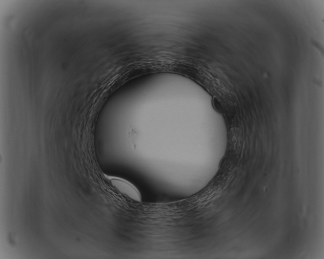 X0000097611057200802290751