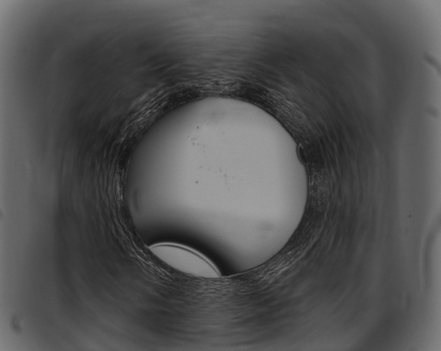 X0000097611058200802290751