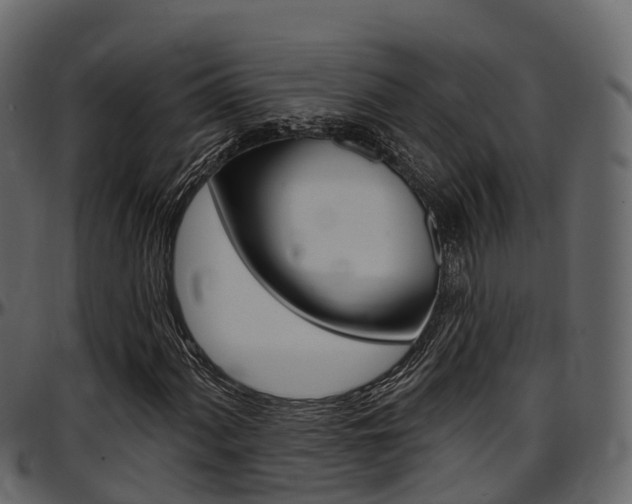 X0000097611060200802290751