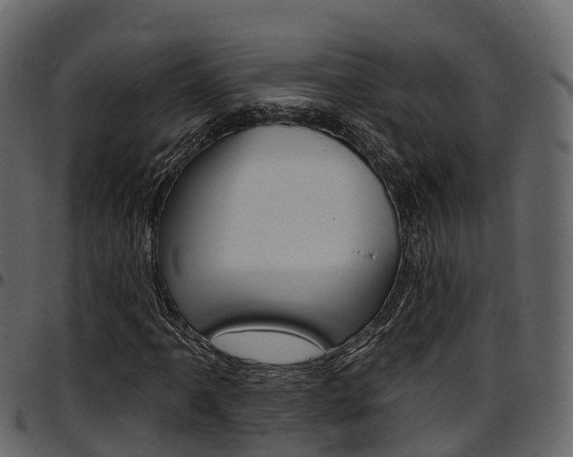 X0000097611061200802290751