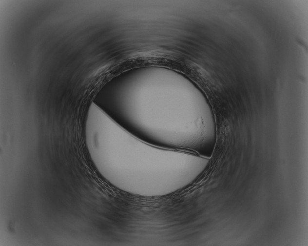 X0000097611062200802290751
